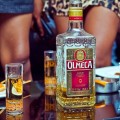 olmeca(1)